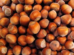 فندق در گیلان موجب افزایش کوتاه شدن قد در کودکان می شود